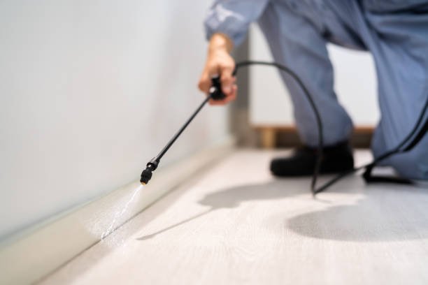 Licensed Mosquito Control service in Mountain House, CA - Show Me Pest Control