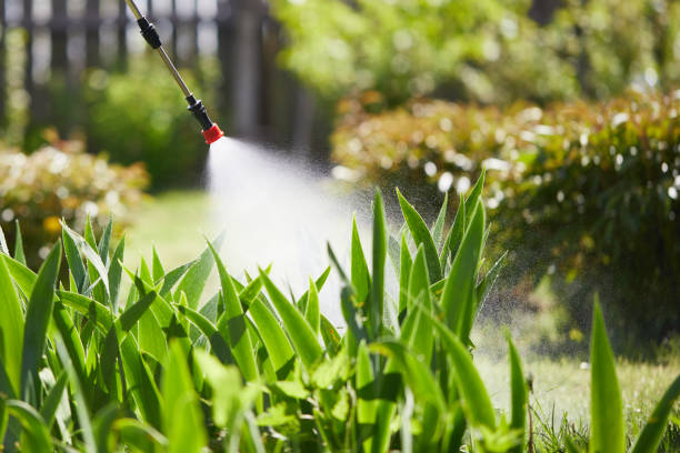 24/7 Emergency Mosquito Control experts in Mountain House, CA