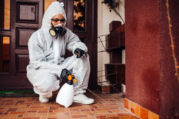 Reliable Mosquito Control contractor in Mountain House, CA by Show Me Pest Control